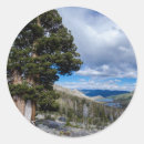 Search for forest city stickers Superstock