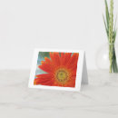 Search for gerbera cards Thinking of you