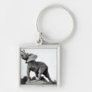 Search for elephant trunks key rings Animal