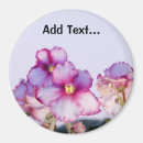 Search for violets magnets Flowers