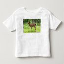 Search for fine jerseys Tops