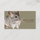 Search for mouse business cards Rats