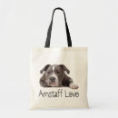 Search for american staffordshire terrier Dog