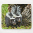 Search for schwarz mouse mats Minnesota