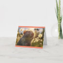 Search for hamster cards Cute