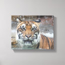 Search for sanctuary art Rescue