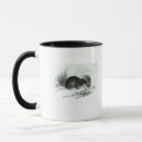 Search for theory of evolution mugs English