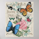 Search for papillons posters Butterflies