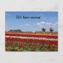 Search for balloon horizontal postcards Photography