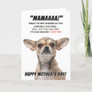 Search for chihuahua mothers day cards Pet