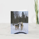Search for sledding cards Forest