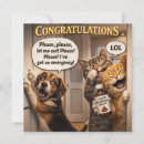 Search for funny dog anniversary cards Cat