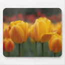 Search for horticultural mouse mats Botany