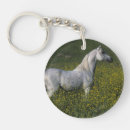 Search for arabs key rings Horse