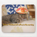 Search for tequila mouse mats Mexican