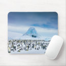 Search for emperor penguin electronics Bird