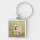 Search for cat pet accessories Family friends