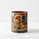 Search for labrador retriever mugs Animal lovers