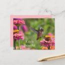 Search for zinnia flower postcards Garden