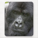 Search for rwanda mouse mats Africa