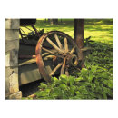 Search for wheel photography Rustic