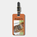 Search for orangutan accessories Wildlife