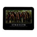 Search for special forces magnets Motivation