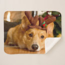 Search for christmas corgi blankets Pet