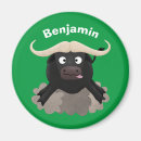 Search for buffaloes magnets Cartoon