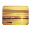 Search for baffin Sea