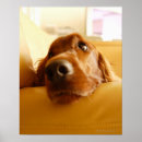 Search for for sofa art Vertical