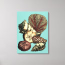 Search for seashell decor canvas prints Star fish