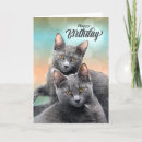 Search for bff cards Cats