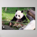 Search for smithsonian posters Winter