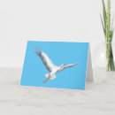 Search for storks cards Bird