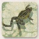 Search for toad coasters Frog