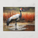 Search for watercolor pictures postcards Nature