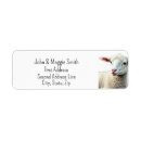 Search for cute lamb return address labels Animal