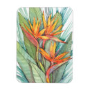 Search for botanicals magnets Floral