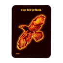 Search for ravens magnets Bird