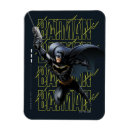 Search for hook magnets Batman