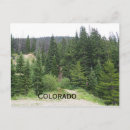 Search for evergreen postcards Nature
