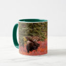 Search for red bull mugs Moose