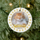 Search for kitten christmas tree decorations Pet