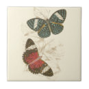 Search for butterfly tiles Insects