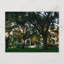 Search for not tall postcards City