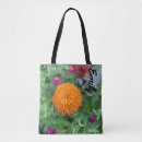 Search for aster accessories Flowers