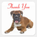 Search for thank you greeting stickers Puppy