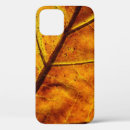 Search for leaf fall iphone cases Pattern