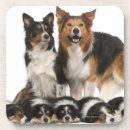 Search for looking at camera coasters Togetherness